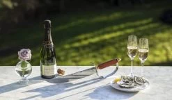 Champagnesabel 9 Champagnesabel -Butiksbar forsyningsbutik 3990 0a8f6526 209a 4042 88b7 77d73e0870bd