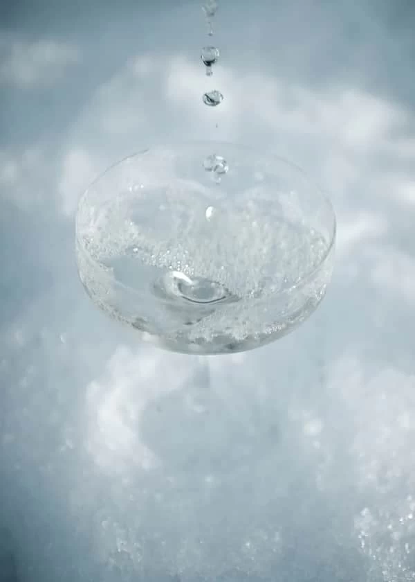 Julemorgen Champagneskål 5 Julemorgen Champagneskål - Billede 3