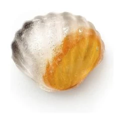 Lekue Isterningeform Musling -Butiksbar forsyningsbutik 3990 3e07d48e fef4 4e46 8d85 34af6dad3608