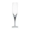 Orrefors Intermezzo Blue Champagneglas -Butiksbar forsyningsbutik 3990 579d088f 83d5 445a bf3f 66d3e186620e