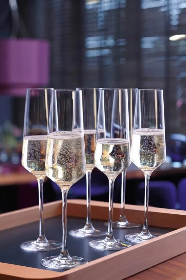 Leonardo Puccini Champagneglas - 6 Stk. 5 Leonardo Puccini Champagneglas - 6 Stk. - Billede 3