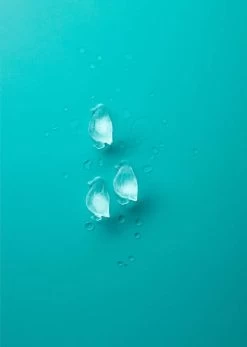 Lekue Isterningeform Pingvin -Butiksbar forsyningsbutik 3990 8b911328 30ee 491b 9748 fae029900fda