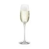 Holmegaard Fontaine Champagneglas 2 Holmegaard Fontaine Champagneglas -Butiksbar forsyningsbutik 3990 dbdf2b68 0433 4b3a bf0f 98c6d80fab9b